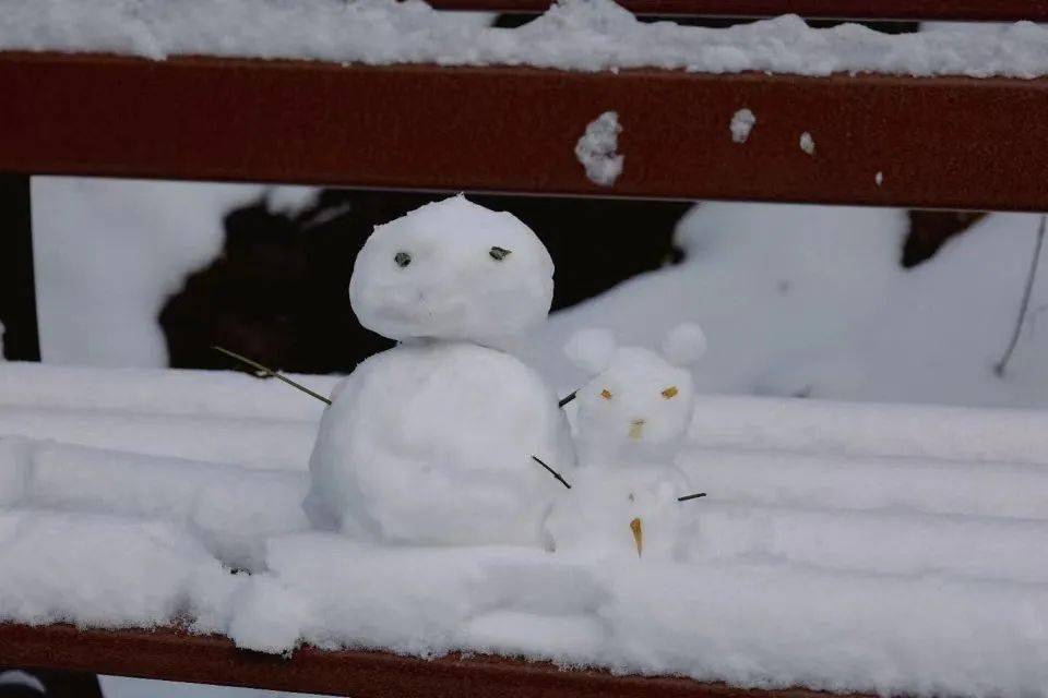 雪落人間,順問冬安_初雪_時光_枯枝