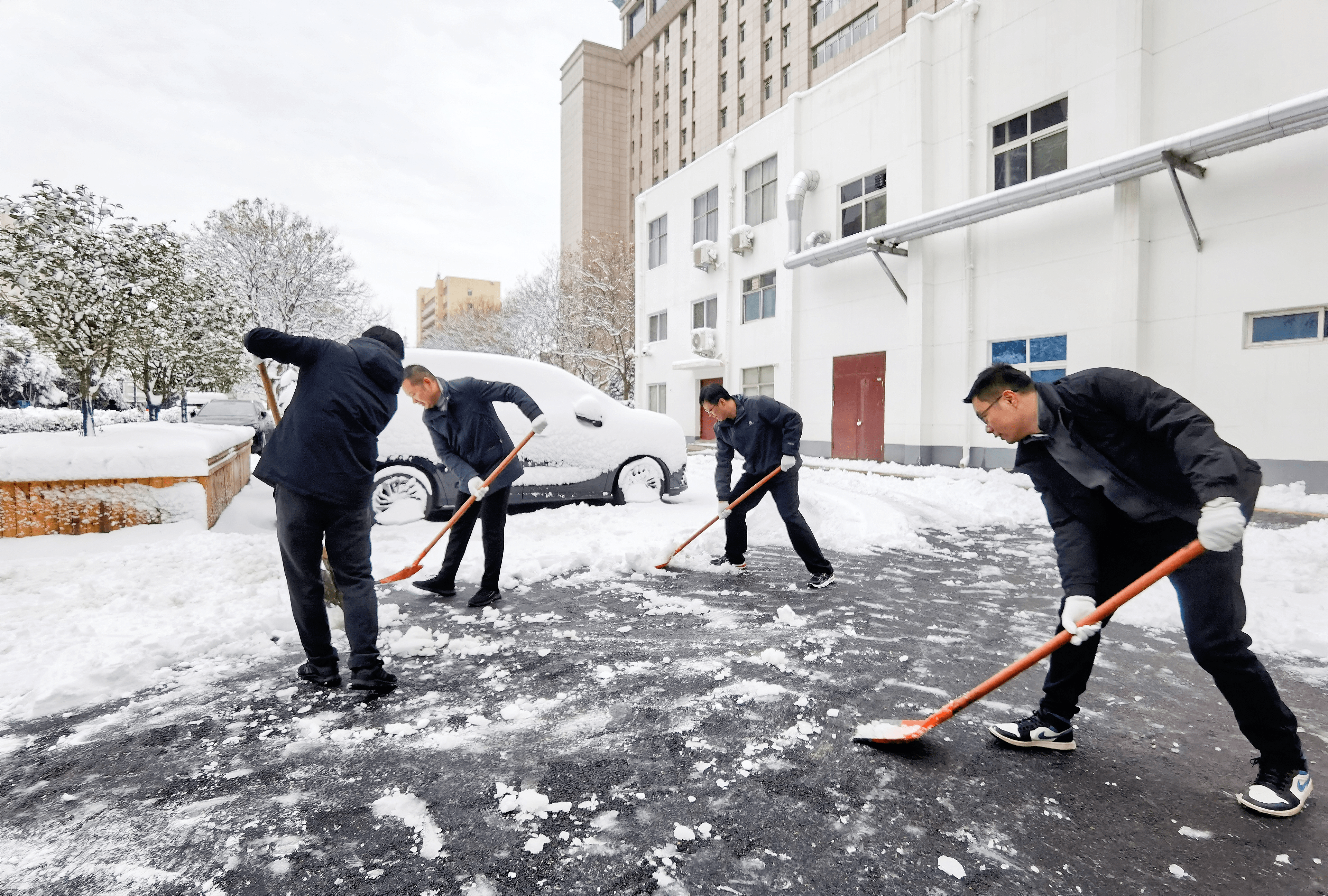 铲雪除冰大行动简报图片