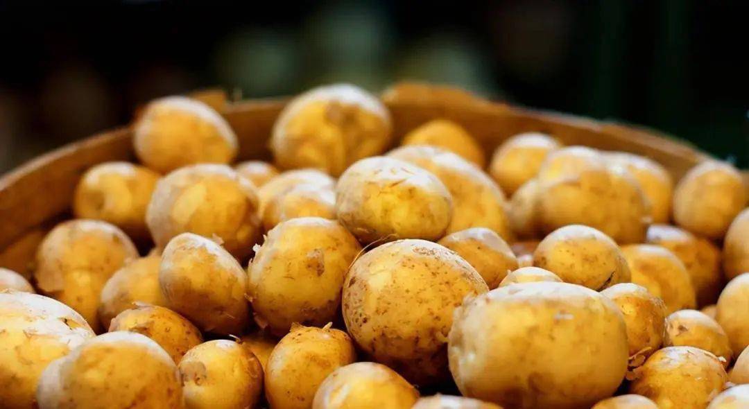 岚县推出首个3d卡通虚拟数字人"岚豆豆"_发展_土豆_农产品