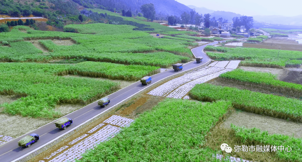 弥勒纪录片《匠心·传承》!正式发布