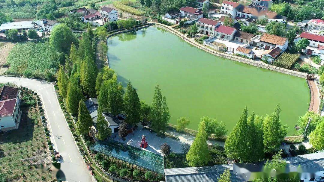 汉中杨家山村:发展民宿经济 带动群众增收_宗营镇_改造_环境