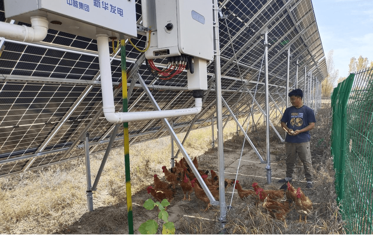 光伏项目让村民乐享"阳光红利"_库伦旗_发电_姚信