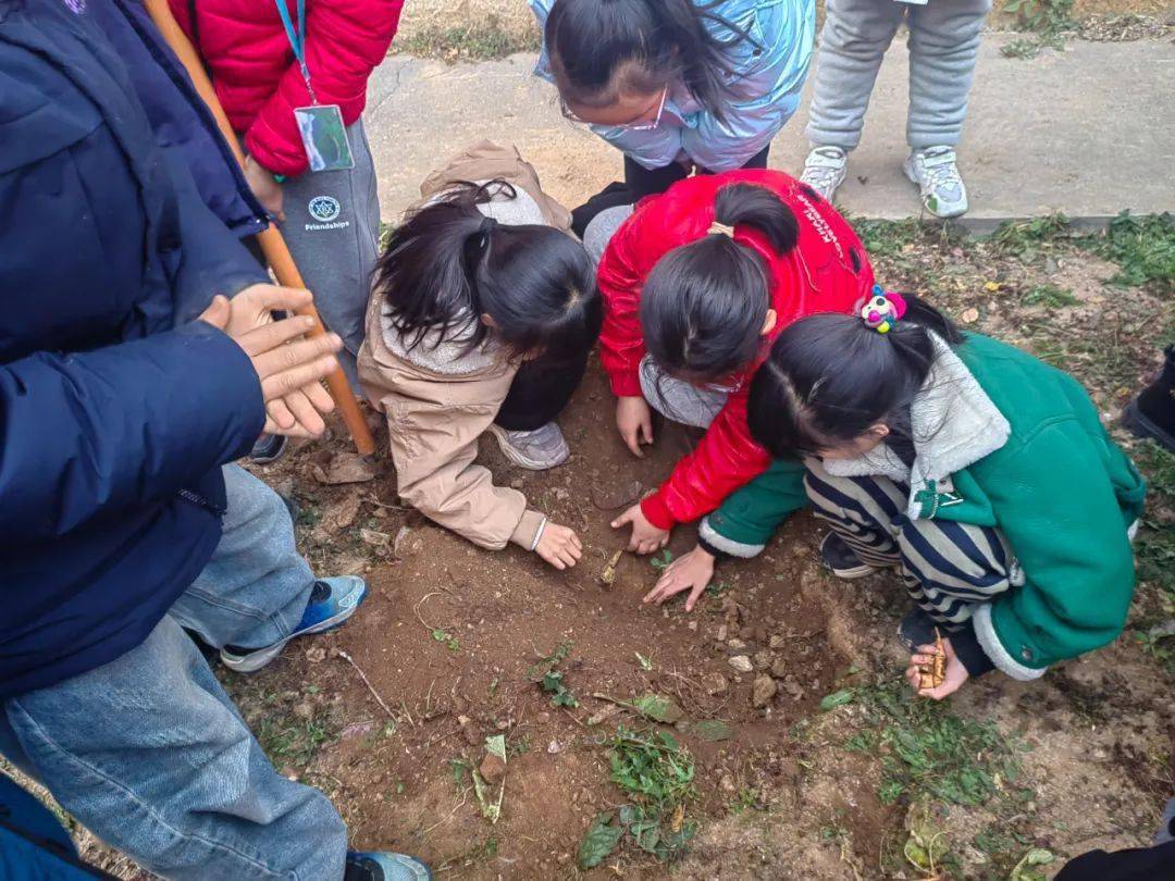 選種,加工地黃種子,施肥,翻土,挖坑,播種,覆土,完成了地黃的種植過程.