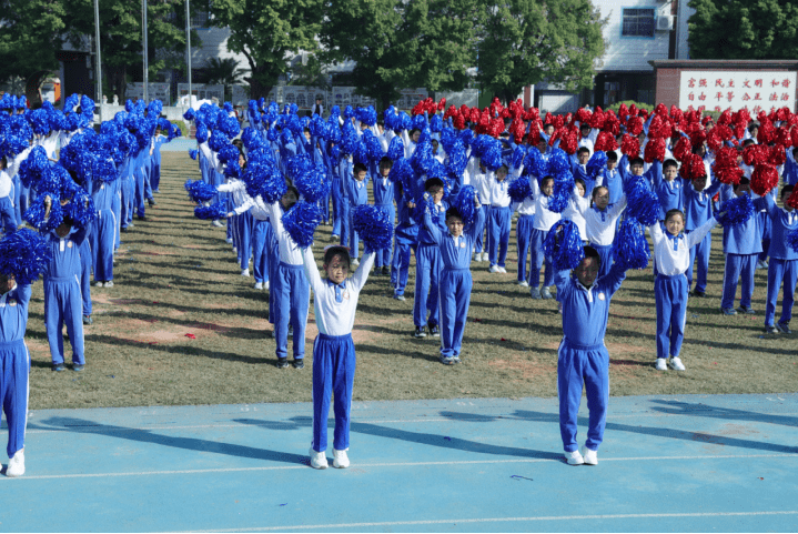 顺德育贤小学图片