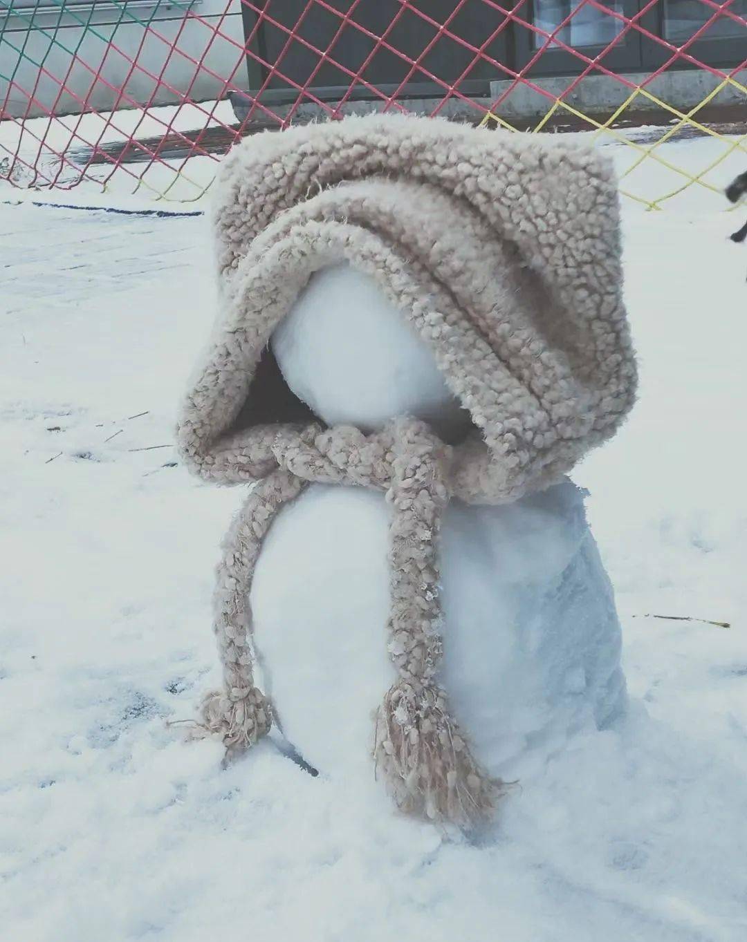 职业学院摄于南开大学滨海学院摄于天津师范大学津城校园雪人大赏一