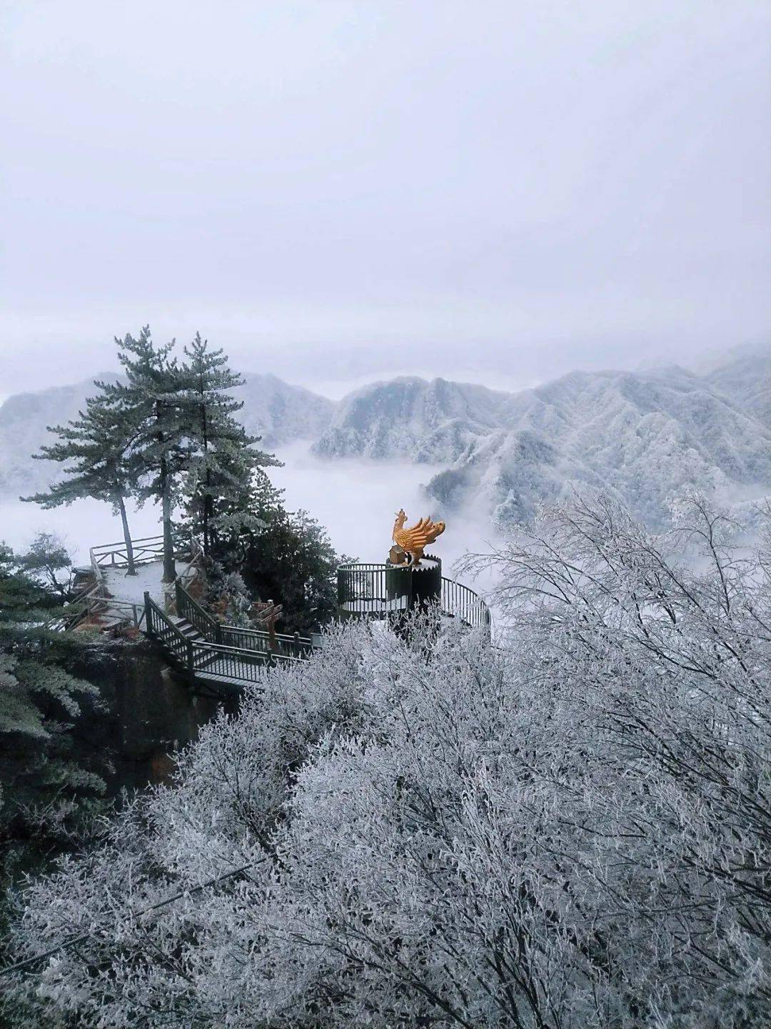 带你看水墨画般的银装鸡峰山→