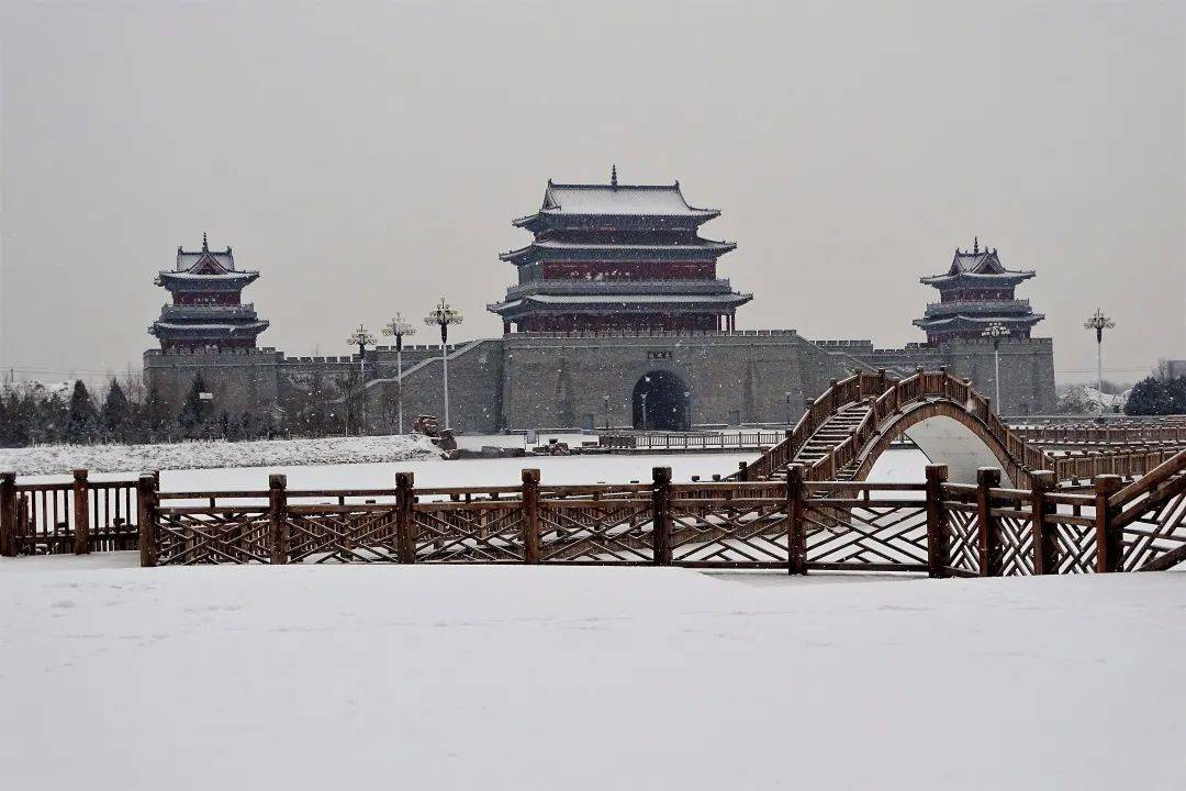 银川下雪啦,宁夏各地雪景大片上新中