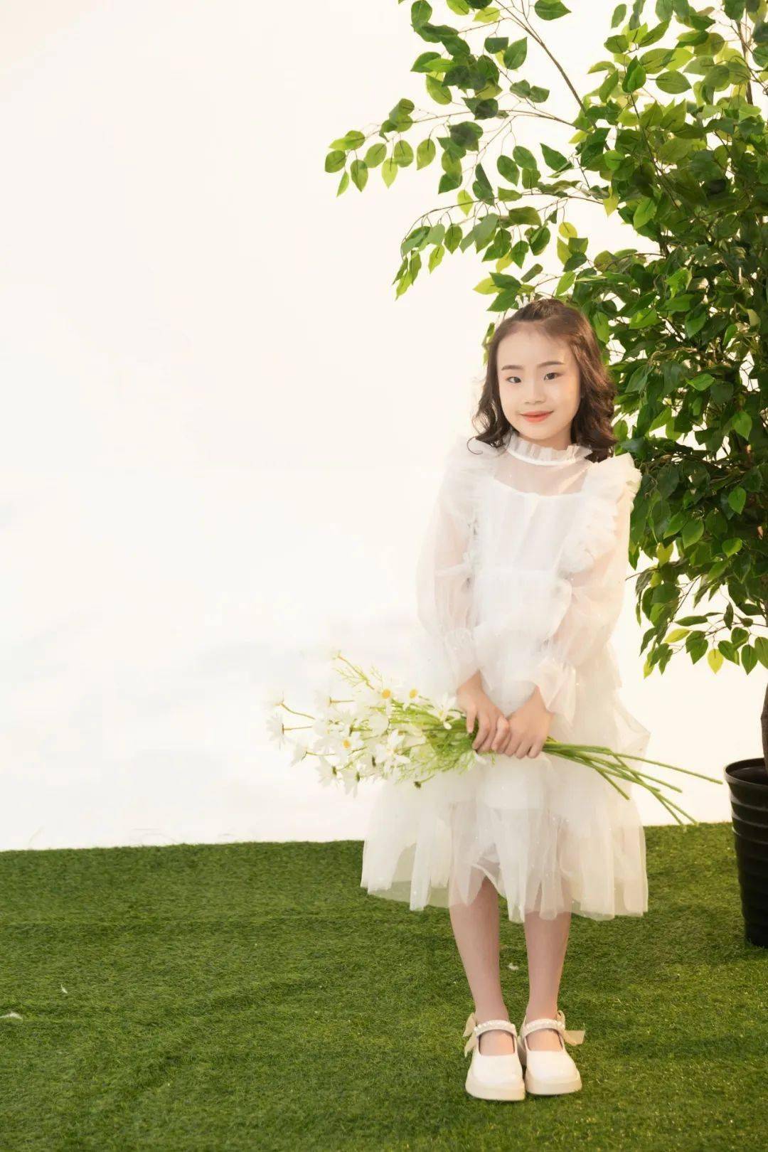 天窗_西红柿_木板