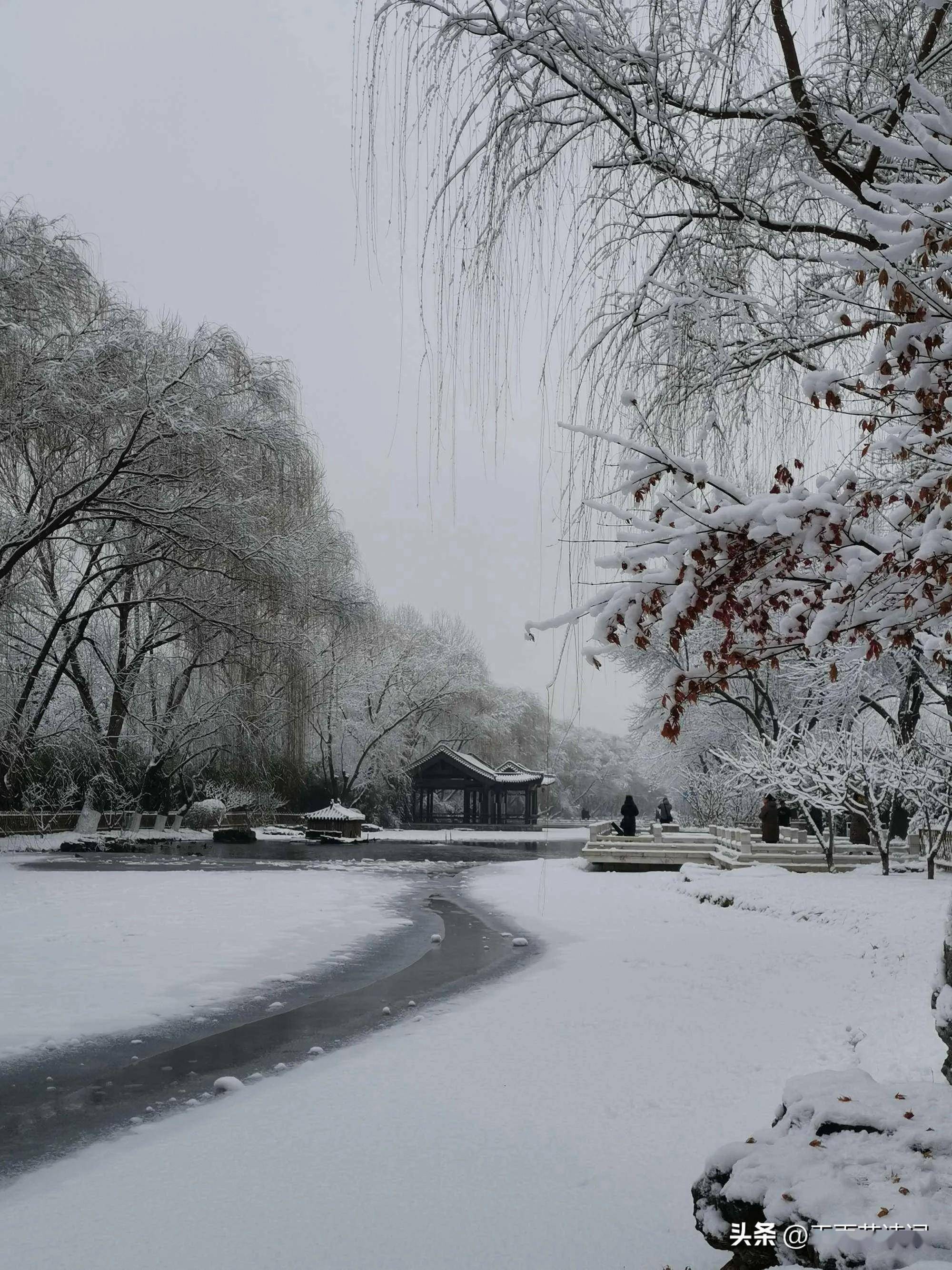 凄美图片雪景图片