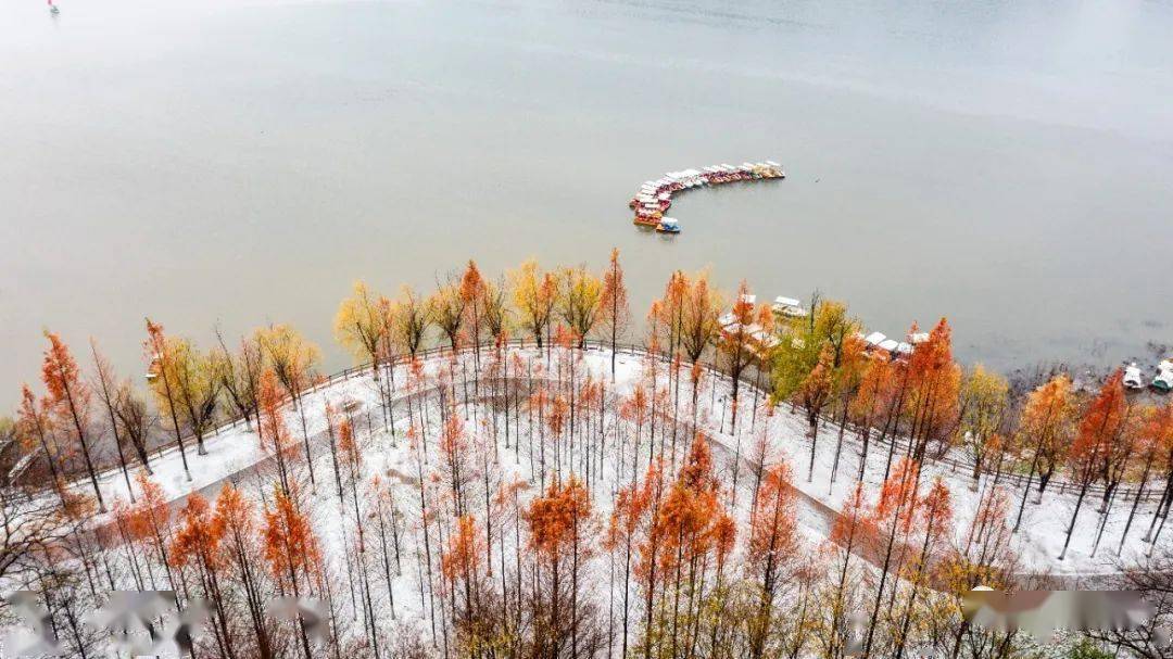 孝感雪景图片