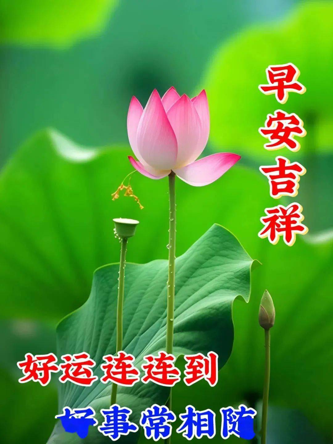 今日最新早安早上好精选,万事如意送平安,健康快乐每一天_祝福_一生