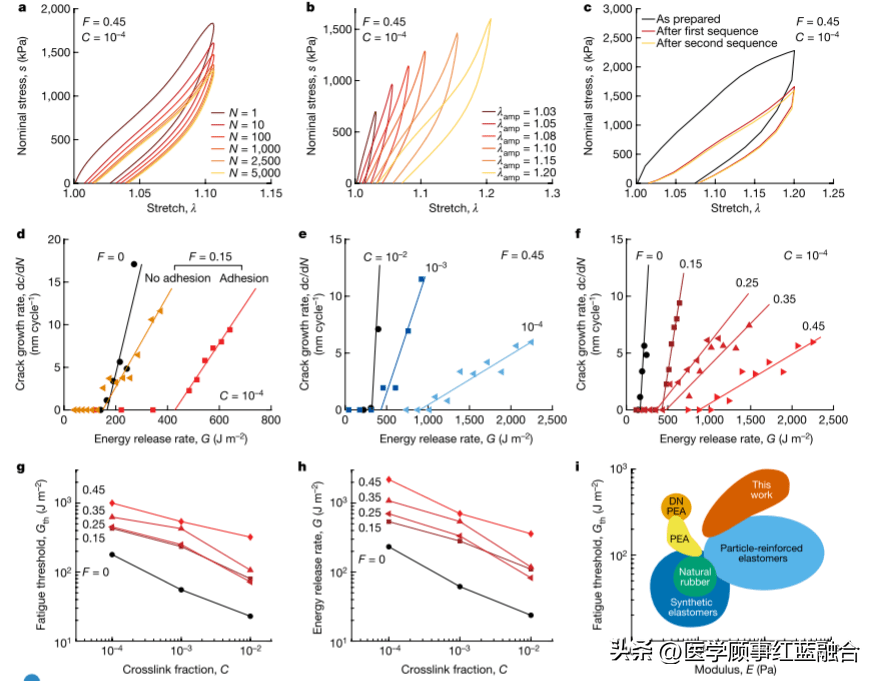 nature:多尺度應力分散來放大顆粒增強橡膠的疲勞閾值_聚合物_材料_研