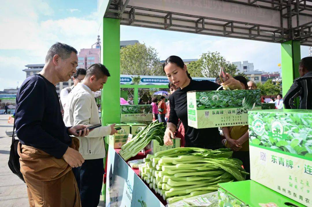 长寿之乡广东连州:连州菜心奏响百亿品牌音