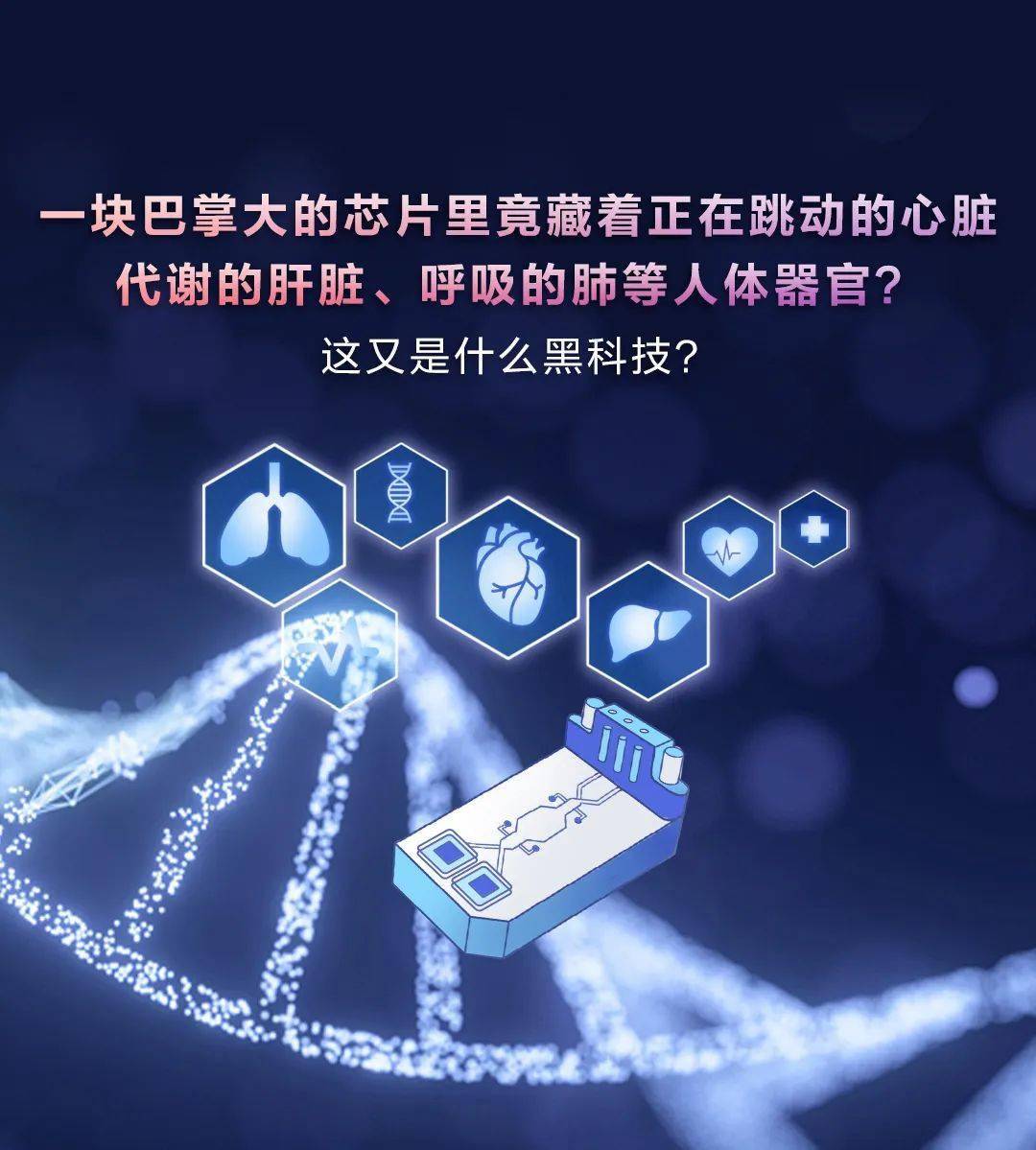 芯片里竟藏着人体器官?