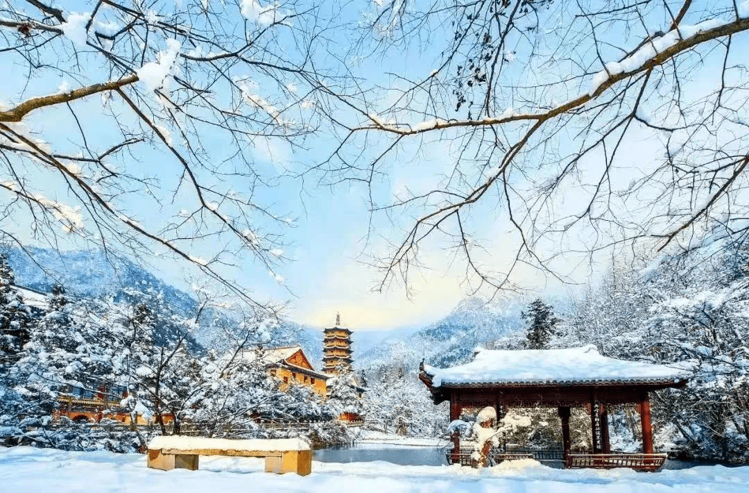 临安天目山雪景图片
