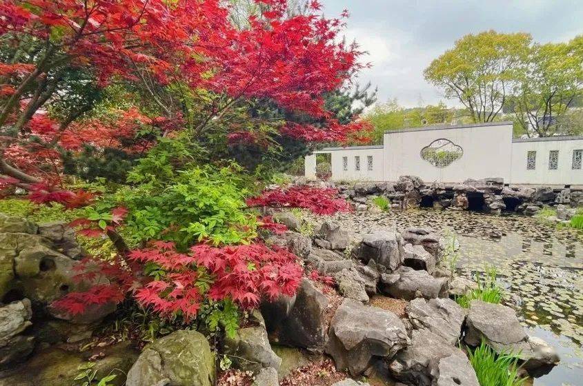 園佔地約3萬餘﹐丨隱藏在5a景區旺山腳下,蘇州雍景山莊暢玩在城中桃源