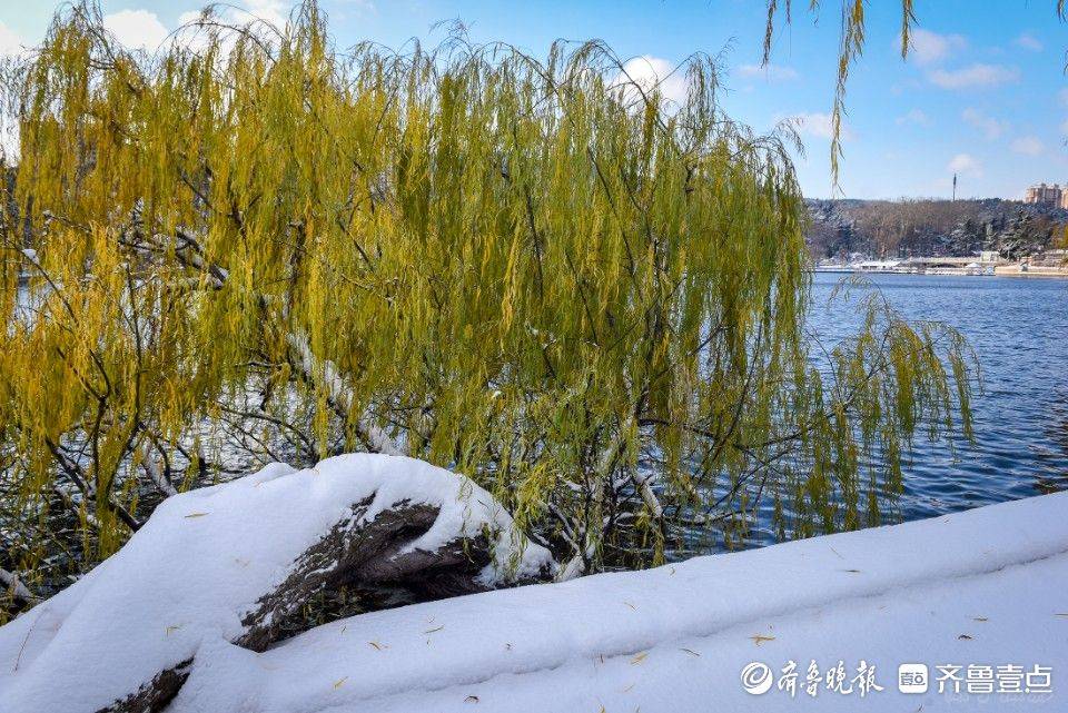 图集|银装素裹展妙颜,雪后烟台南山公园冬日氛围感拉满_摄影_微宁