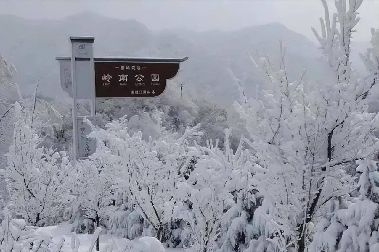 跟着这趟"秦岭小火车"走进冬日秘境,畅游冰雪世界_宝鸡_公园_岭南