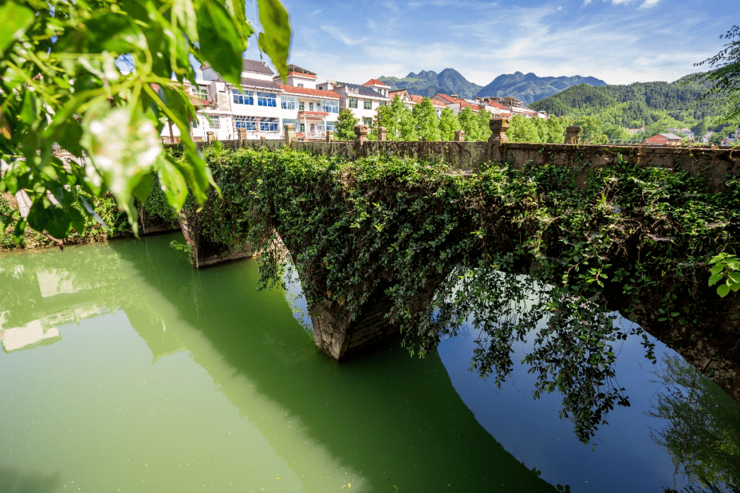 建德市又一镇入选浙江省第七批历史文化名镇!_大同镇_建筑_自然村