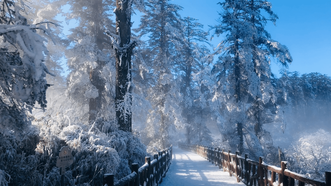 近日,瓦屋山2023年年度冰雪節活動正在舉行賞雪玩雪,應有盡有彭州寶山