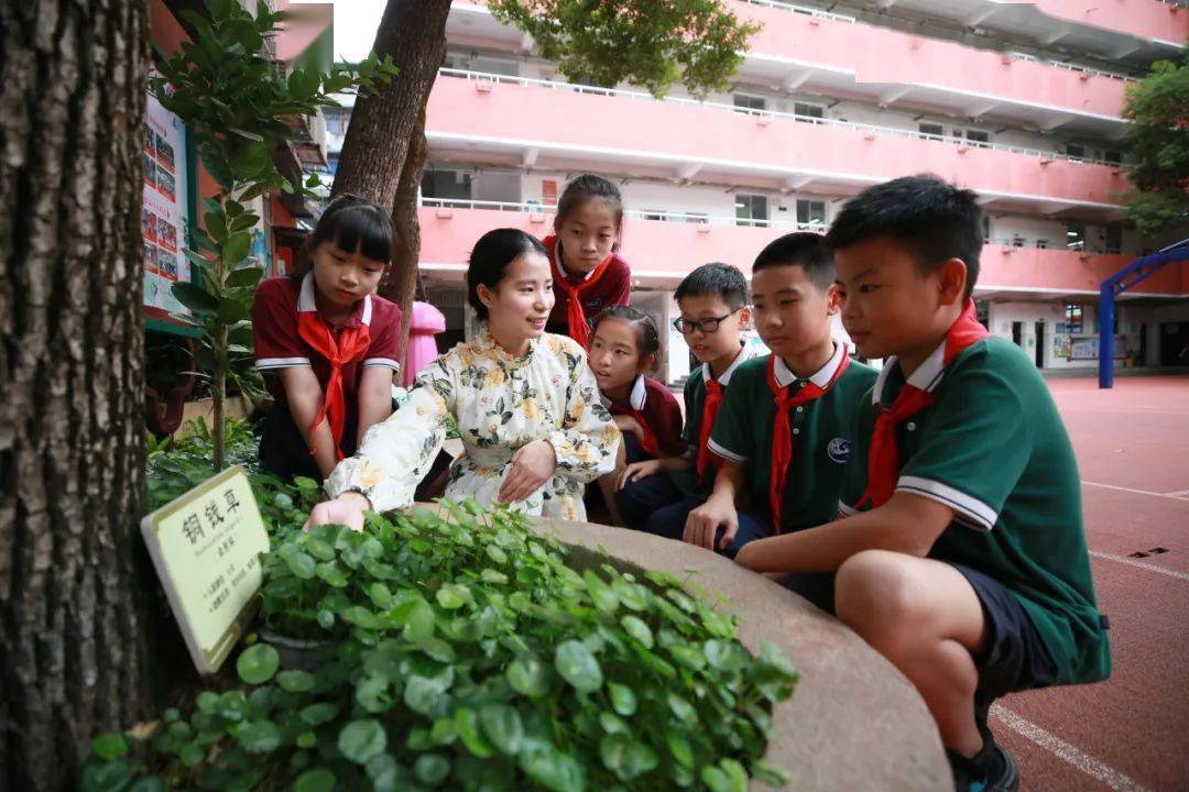 南昌百花洲小学图片