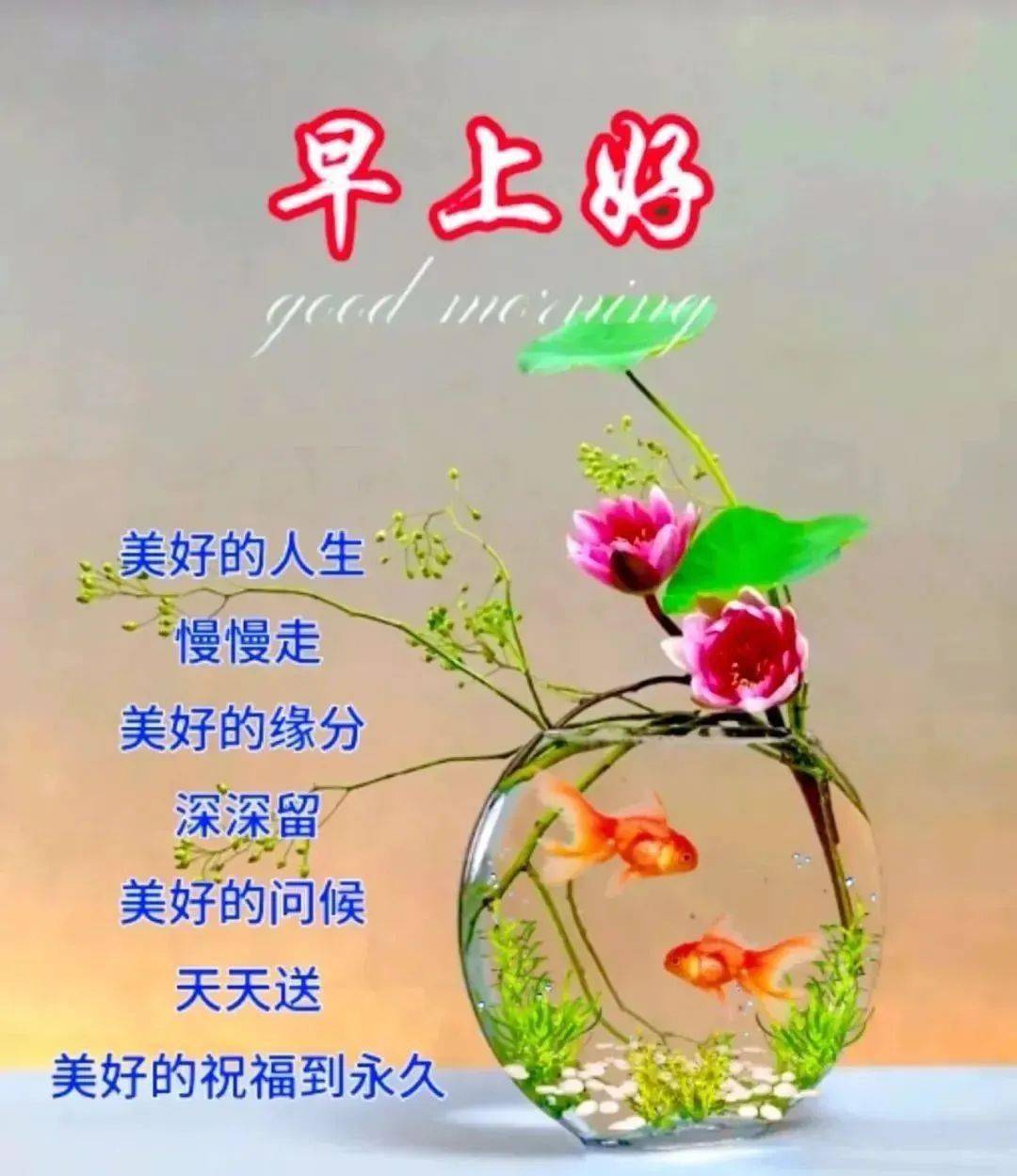 中老年早上好,精选早安温馨祝福图片带问候语