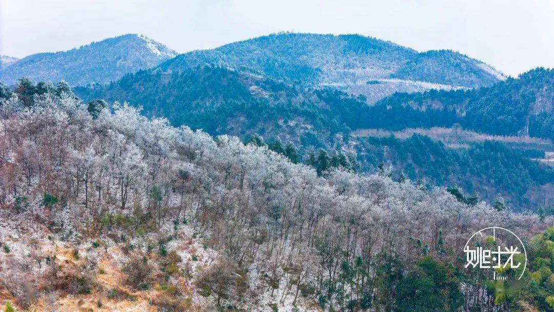 今年冬天的第一場雪,終於降臨在了四明山,本週的天氣依然寒冷,因此