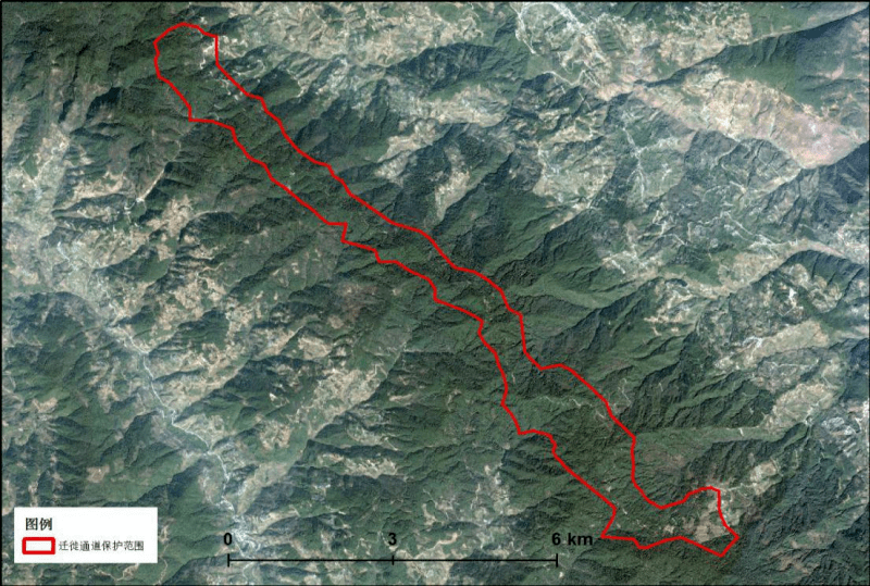 雲南公佈首批候鳥遷徙通道重點區域範圍_保護_面積_鳥類