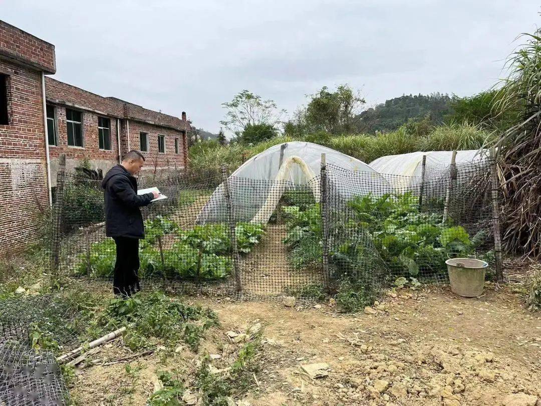 定南縣自然資源局一週工作回顧第七十四期_進行了_耕地_綜合