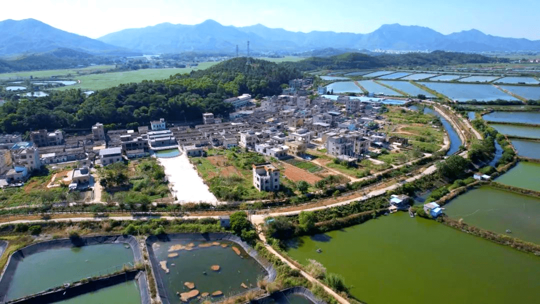 【乡村振兴】惠东铁涌镇油麻地村:壮大村集体经济 绘就乡村振兴美丽