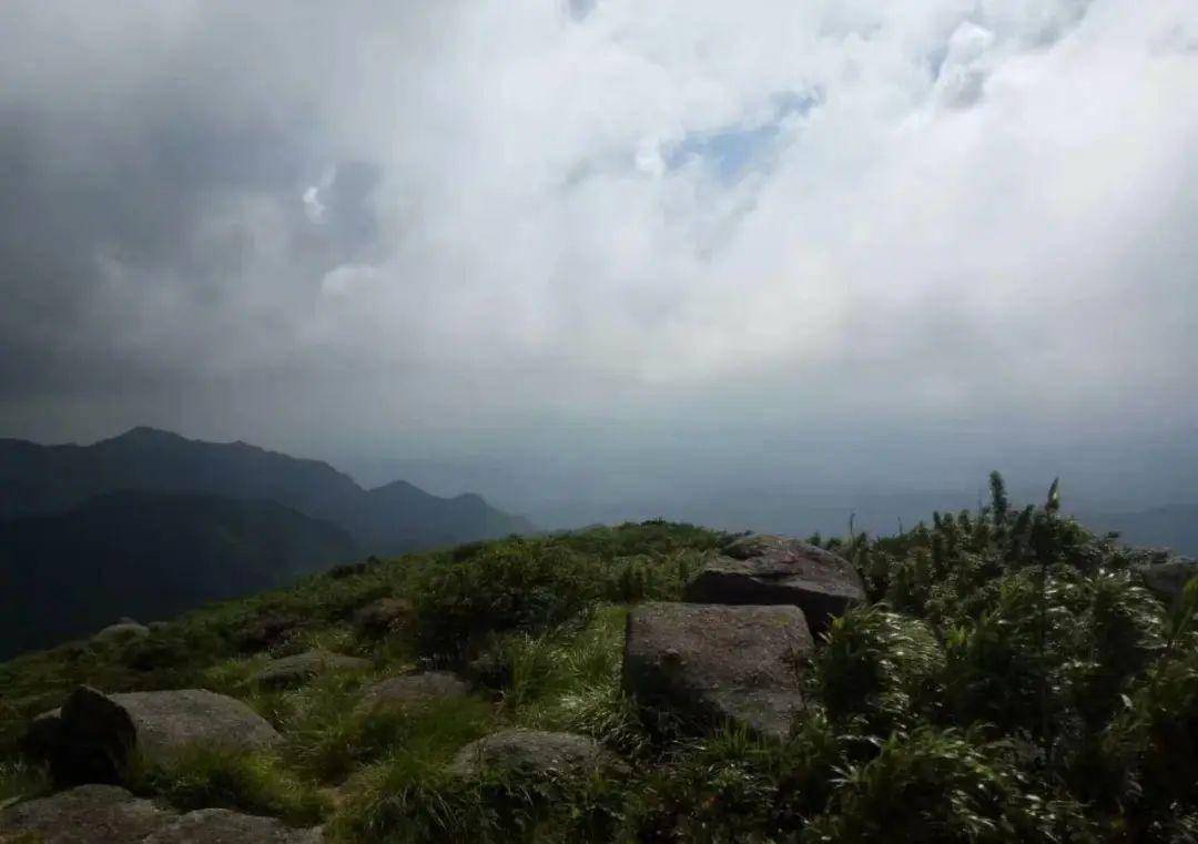 梅毅《觀海先生的元寶山情結》心香文藝_水村_巴馬縣_大山