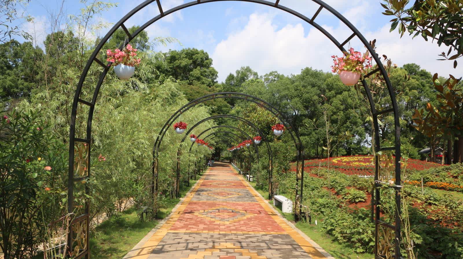 永州森林植物园以林长制为抓手 争创4a景区_保护_旅游_候鸟