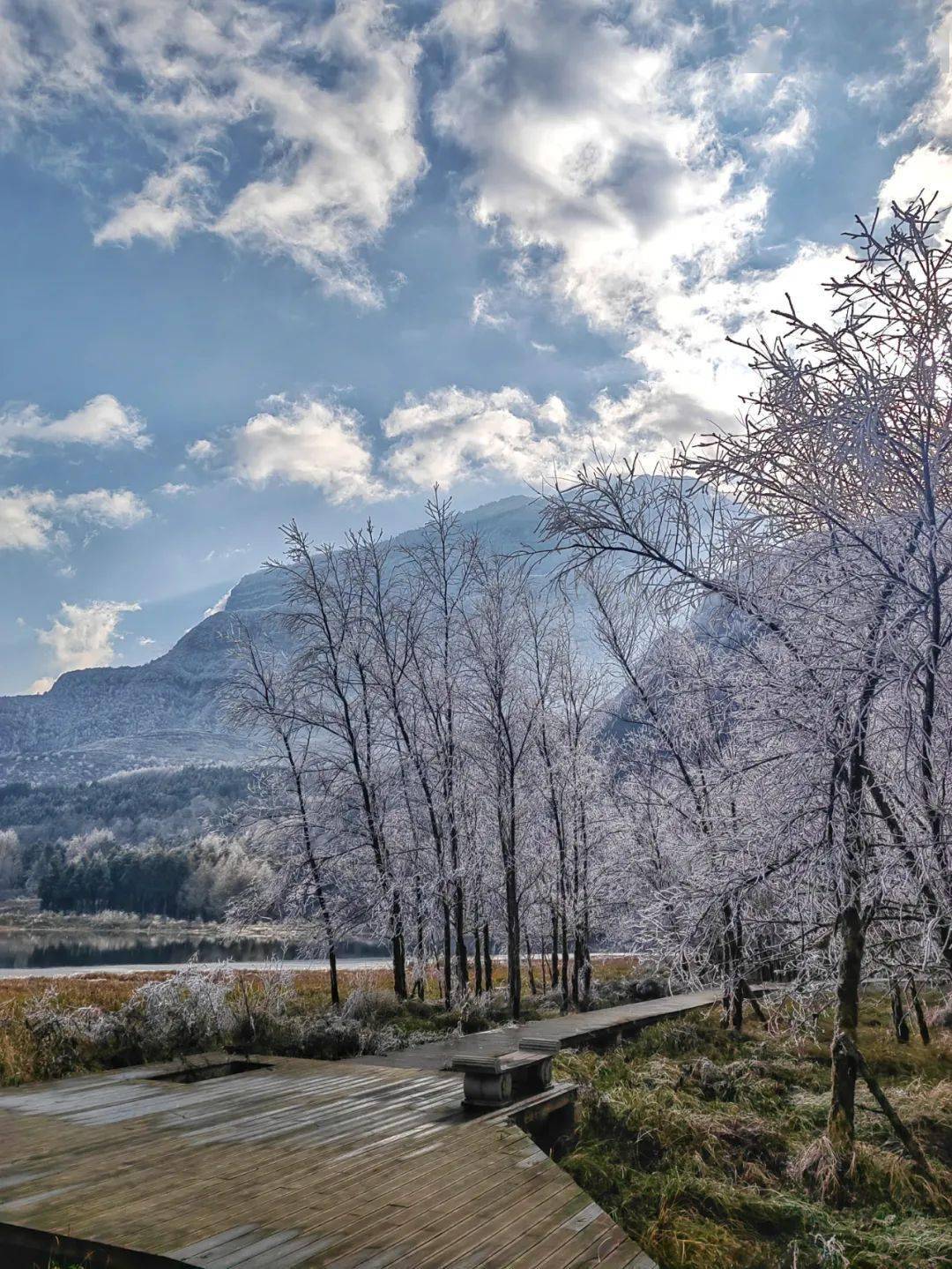 一场大雪,让大瓦山美出了圈!_金口河_版权_银装