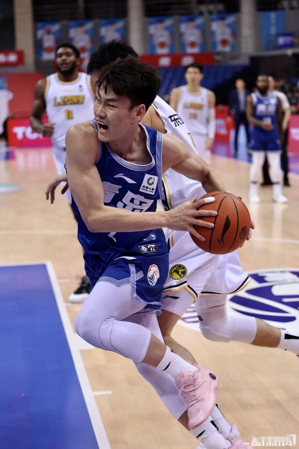 赵嘉义关键"3 1" 助青岛男篮险胜广厦!豪取主场六连胜!_比赛_球迷_下