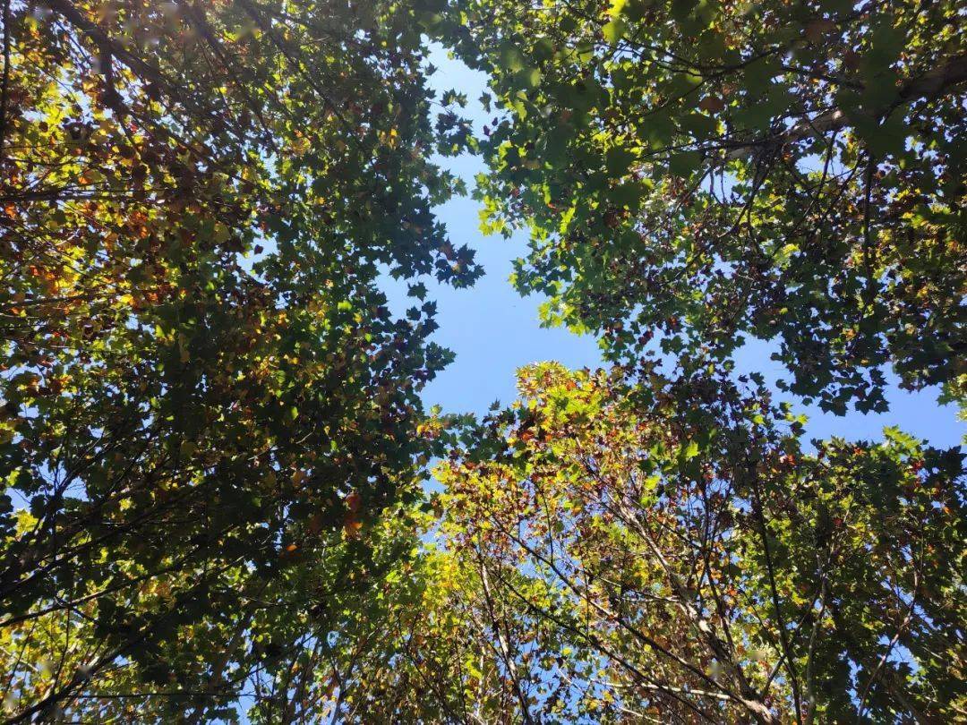 追光少年_张娟_教育_梦想