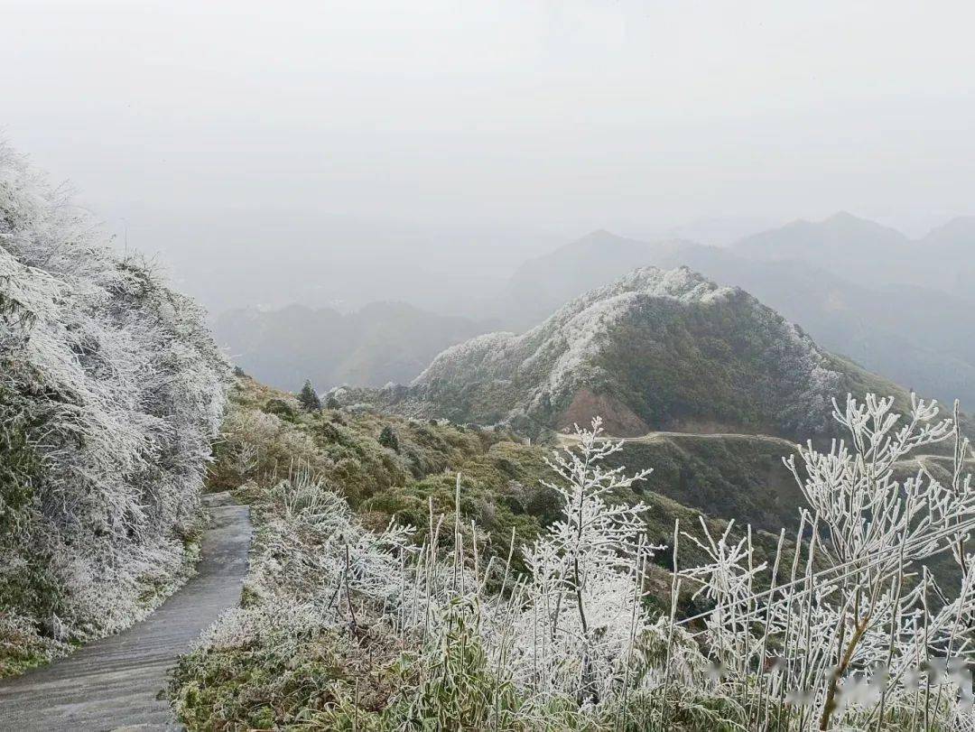 日前,興文仙峰山已降雪霜凍到來這份防禦指南請收下來源:綜合宜賓市