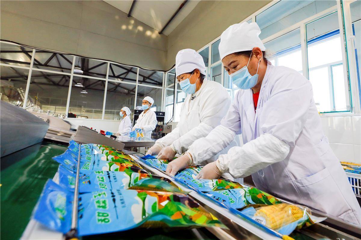 绿色能源革命：燃料乙醇引领未来