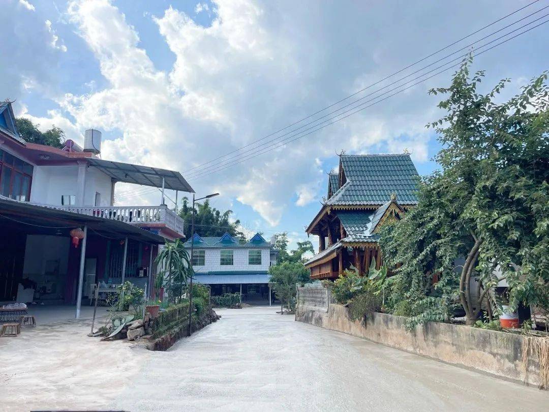 党员带头,群众紧跟,景洪市景讷乡这个村的"幸福路"越铺越宽!