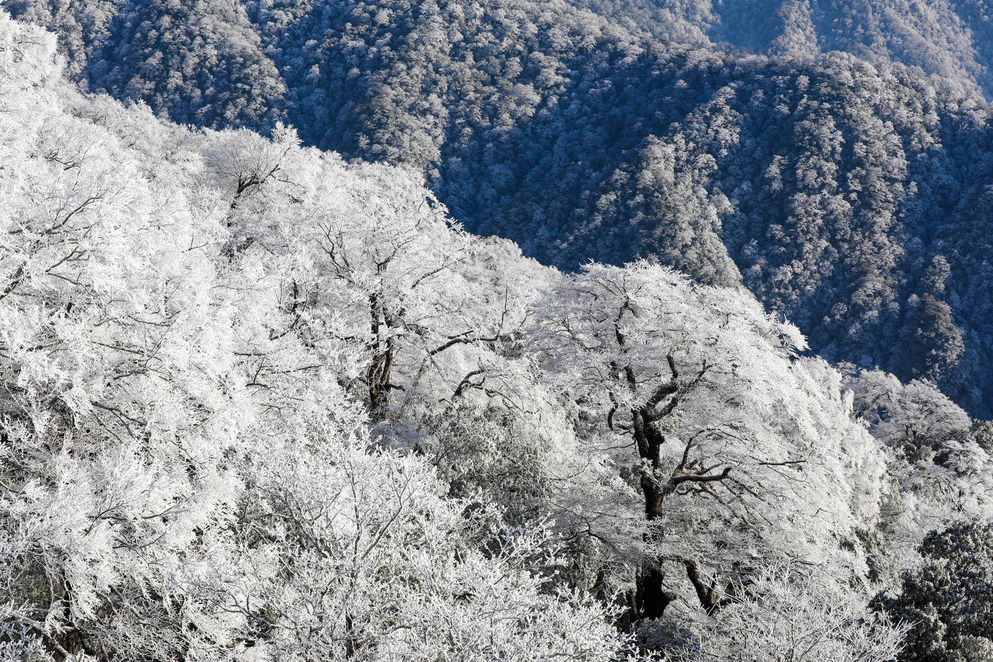 2023年12月20日在贵州梵净山景区拍摄的雪景.