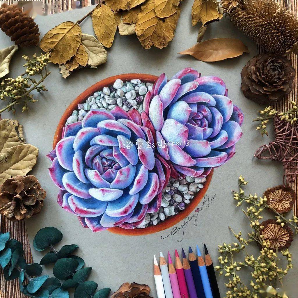 彩铅手绘素材丨油性彩铅这样画,效果简直美炸!彩铅手绘100张