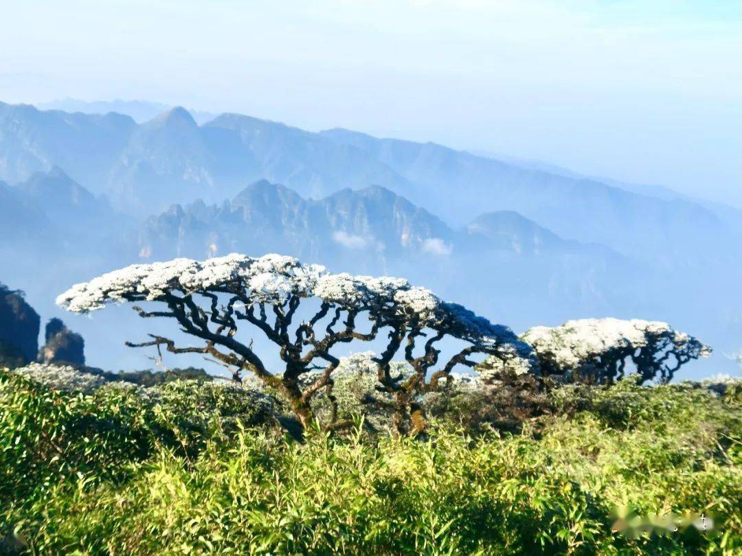 圣堂山风景区门票图片