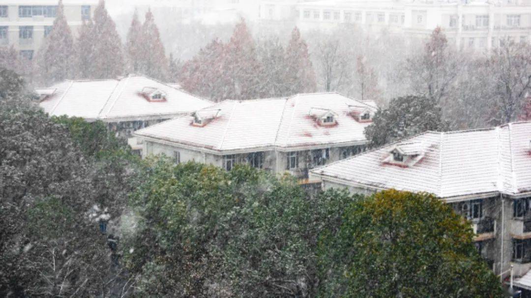 苏州大学雪景图片