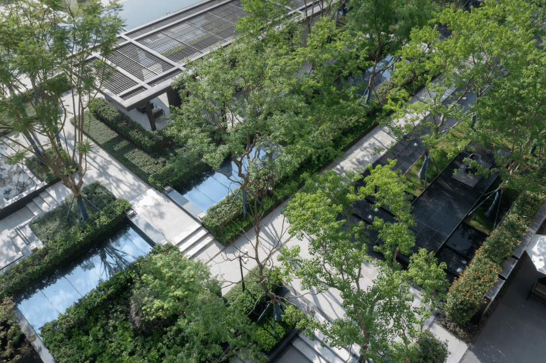 景观轴要怎么卷?_轴线_空间_元素