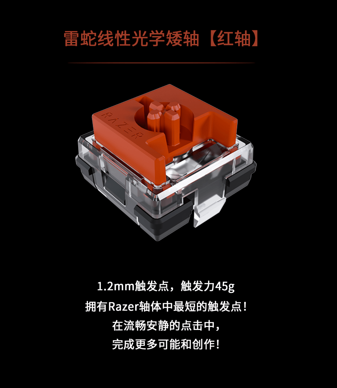 雷蛇_种类_功能