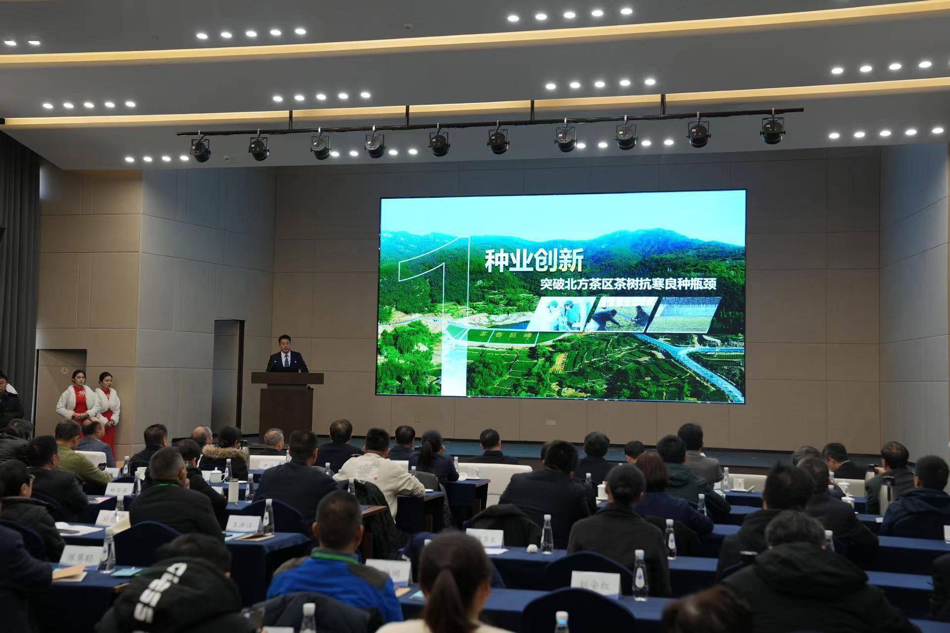 日照茶博会2019年时间表及地点（全国茶标委百余专家聚首岚山，探讨日照茶产业发展新局）日照茶博会2020，一篇读懂，