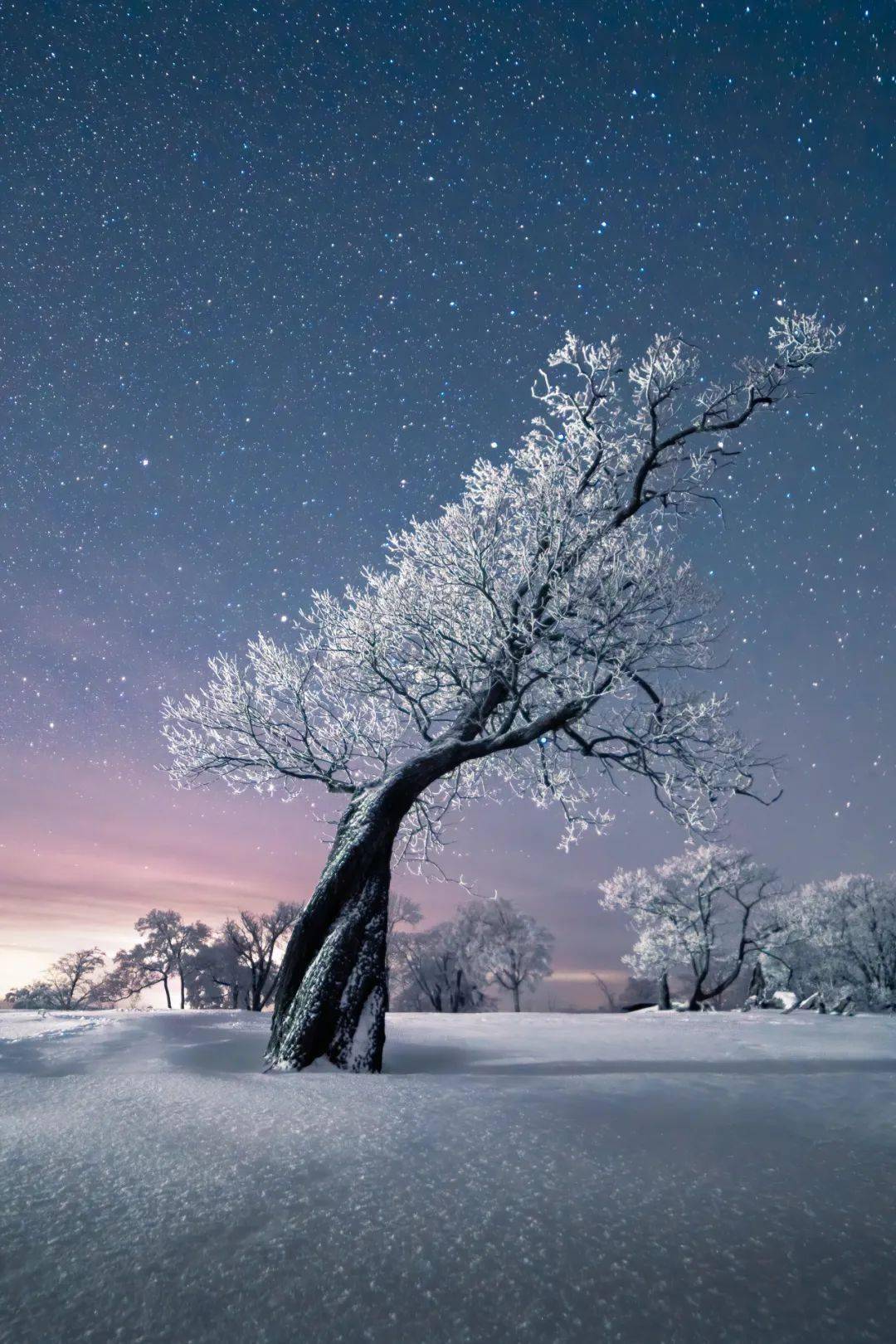 冰雪照片大全图片