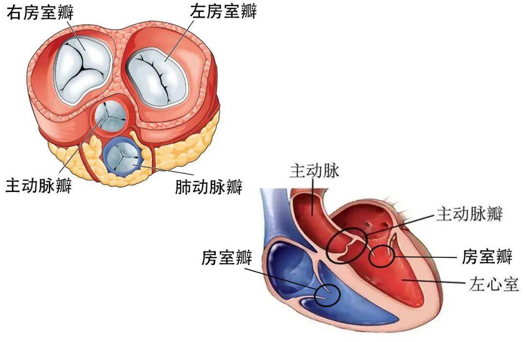 每日一字丨抽象篇