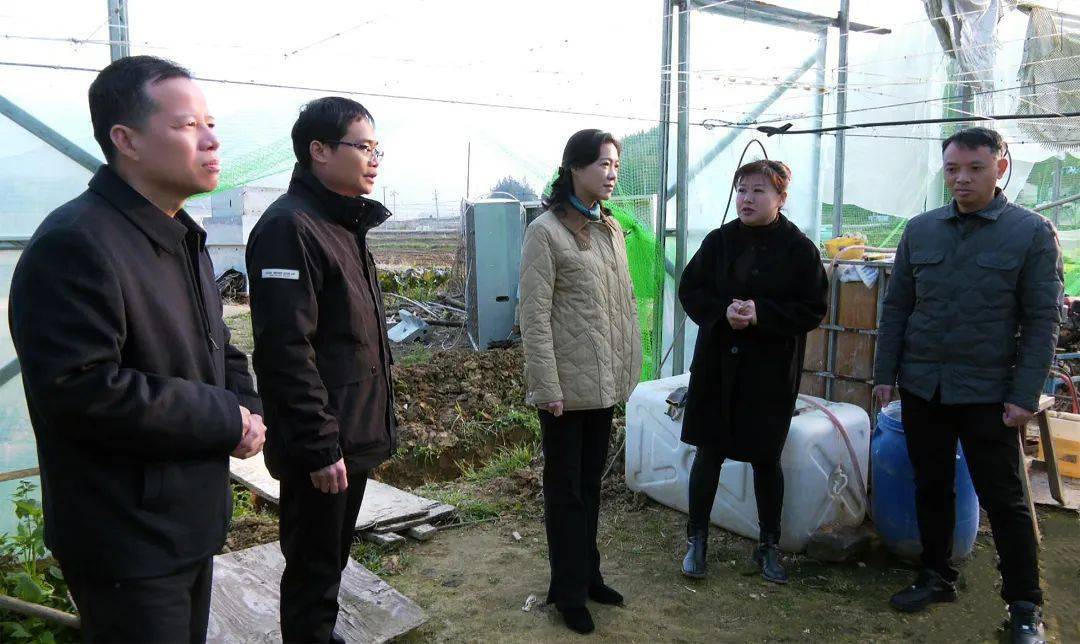郭绯红深入吴家塘镇铁罗村,庄坛村等地开展主题教育调研暨"四下基层