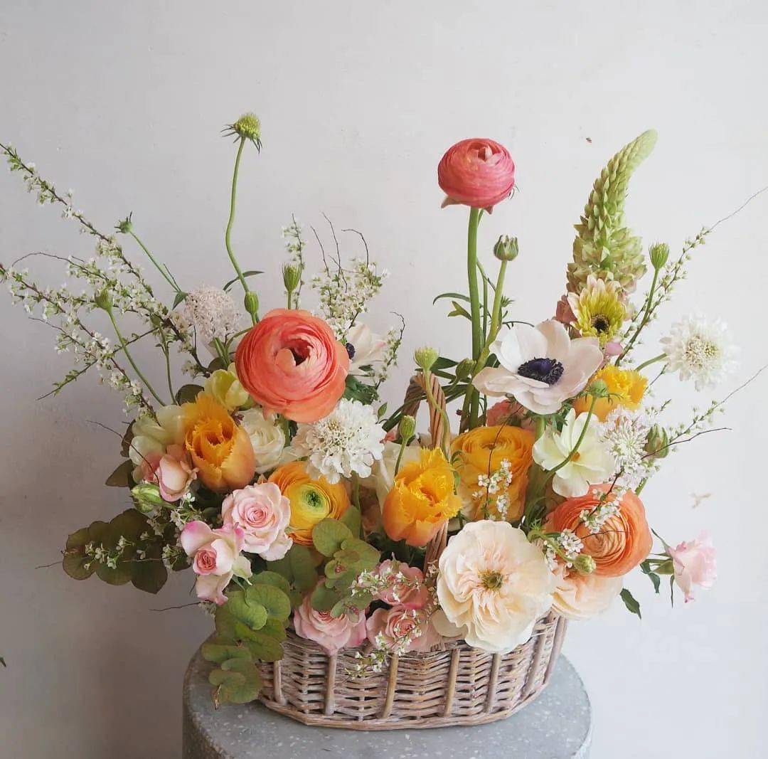 花篮,动人的美丽_花园_百花齐放_更动