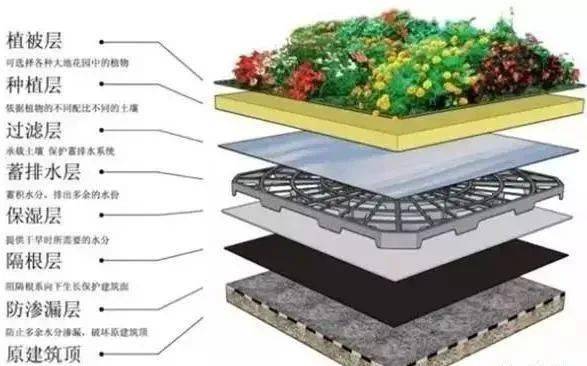 你想知道的屋頂花園的設計要點,這篇文章都有啦_種植_綠化_植物